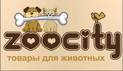 Zoocity товары для животных